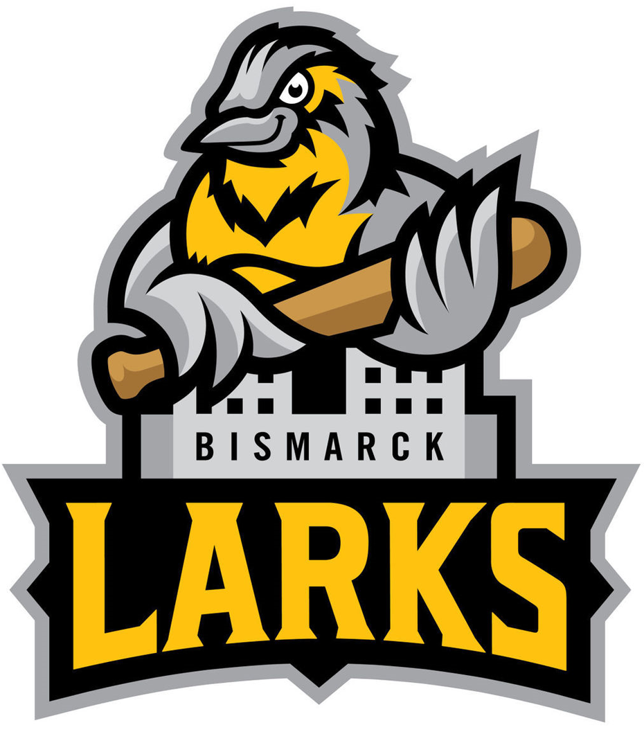 Bismarck Larks 2017-Pres Primary Logo iron on transfers for T-shirts